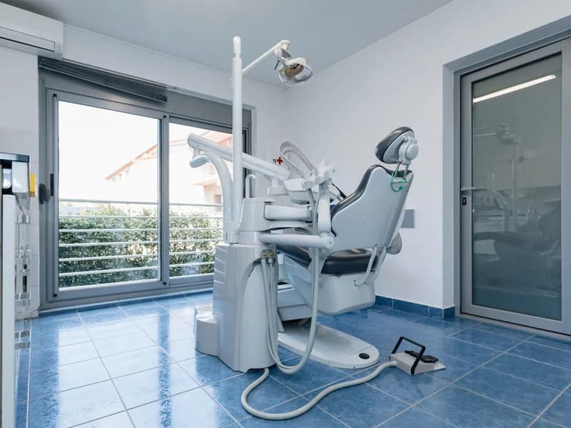 Adriatic Dent - slika 3