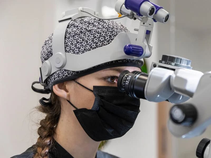 Aesthetica - slika 1