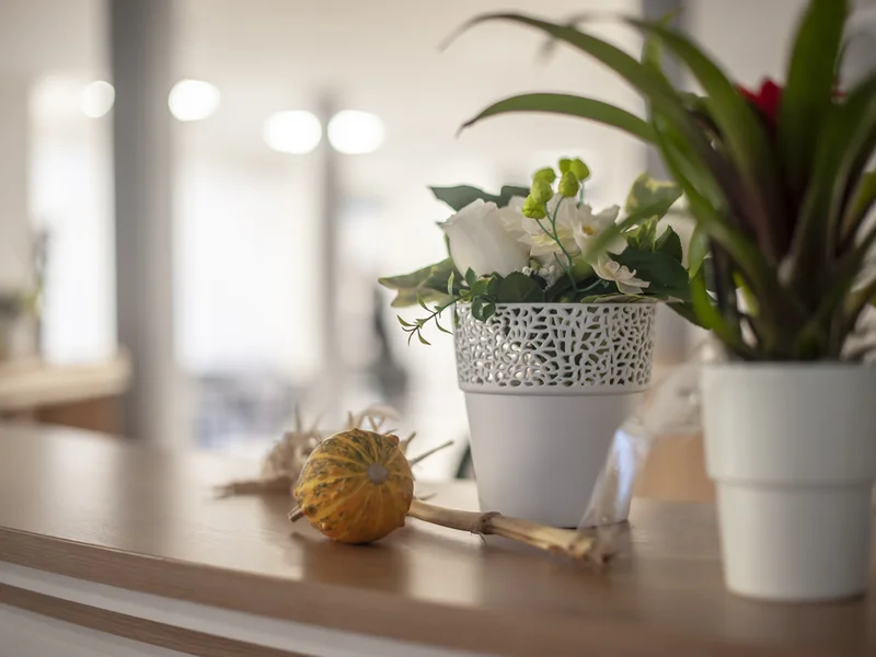 Dom Baturina - slika 3