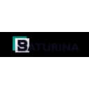 Dom Baturina logo