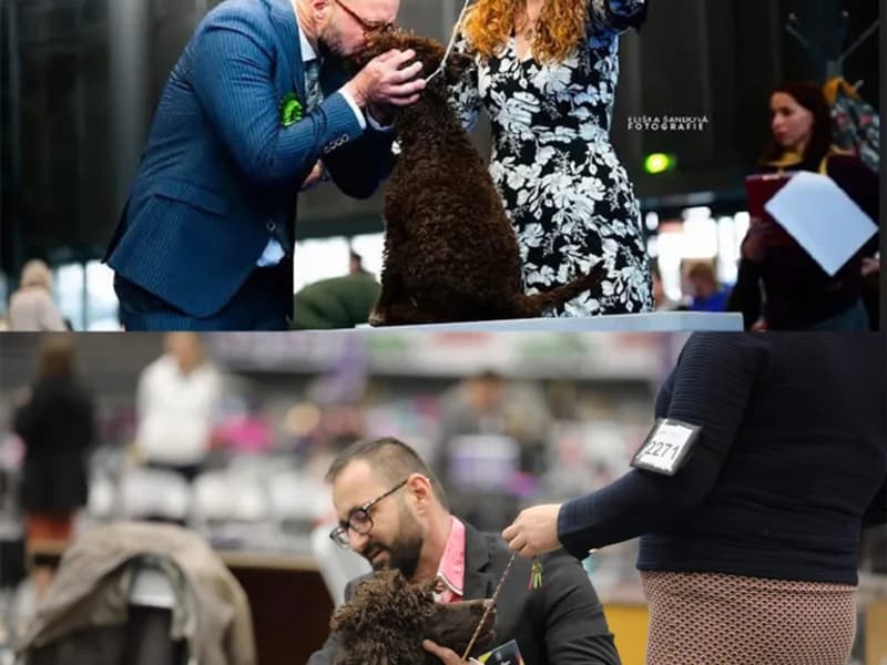 The Talking Eyes - slika 4