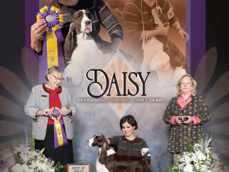 The Talking Eyes - slika 1