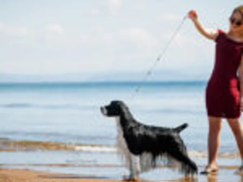 The Talking Eyes - slika 6