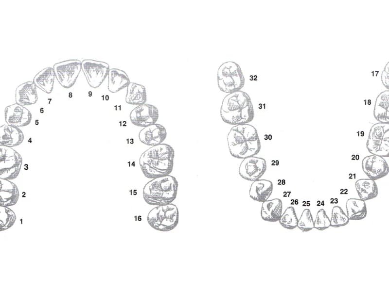Ordinacija Lovrić - slika 1