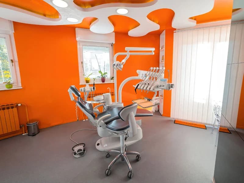 Dr. Borisov - slika 1