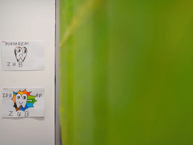 Dr. Borisov - slika 3