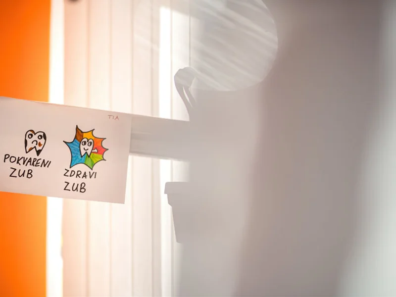 Dr. Borisov - slika 6