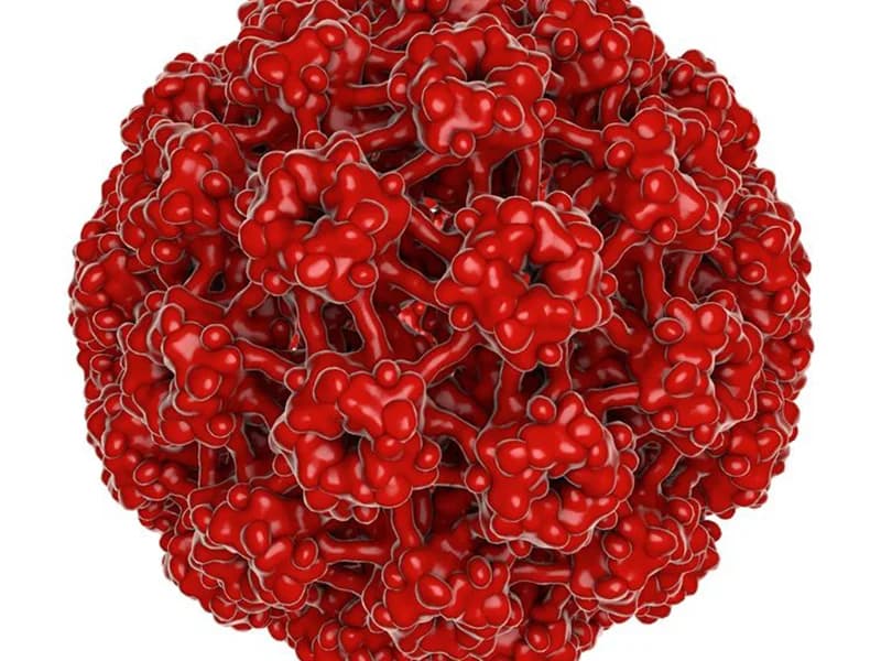 Ginekologija Babić - slika 6