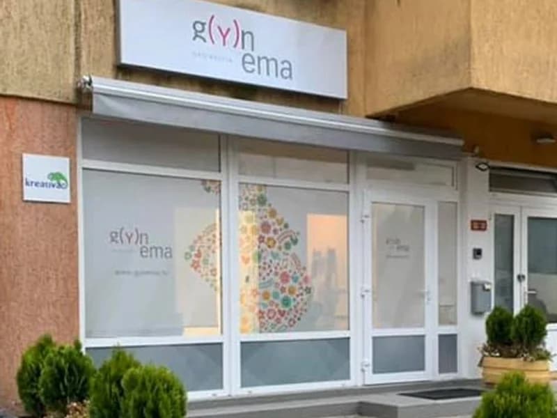 Gynema Ordinacija - slika 1