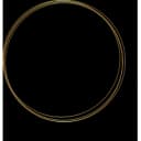 Poliklinika Finderle logo