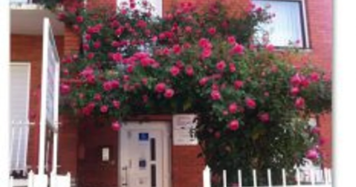 Poliklinika Kesak-Ursić