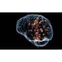 Poliklinika Cortex logo