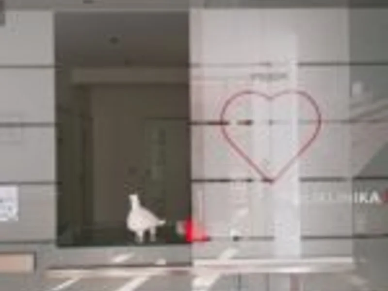 Poliklinika srce - slika 2