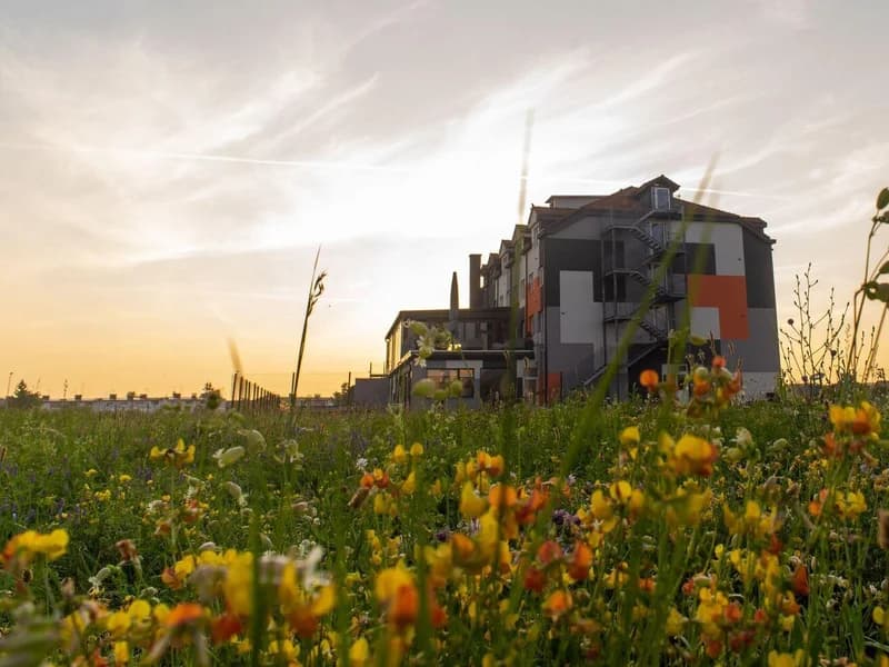 Sanatorij AV Vitalis Time - slika 4