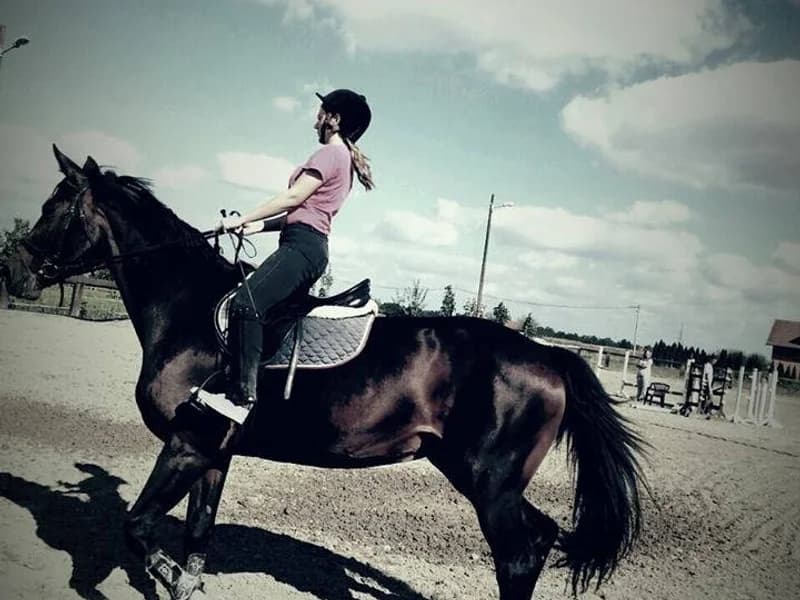 Poliklinika Prof.dr.sc. Milena Stojčević Polovina - slika 3